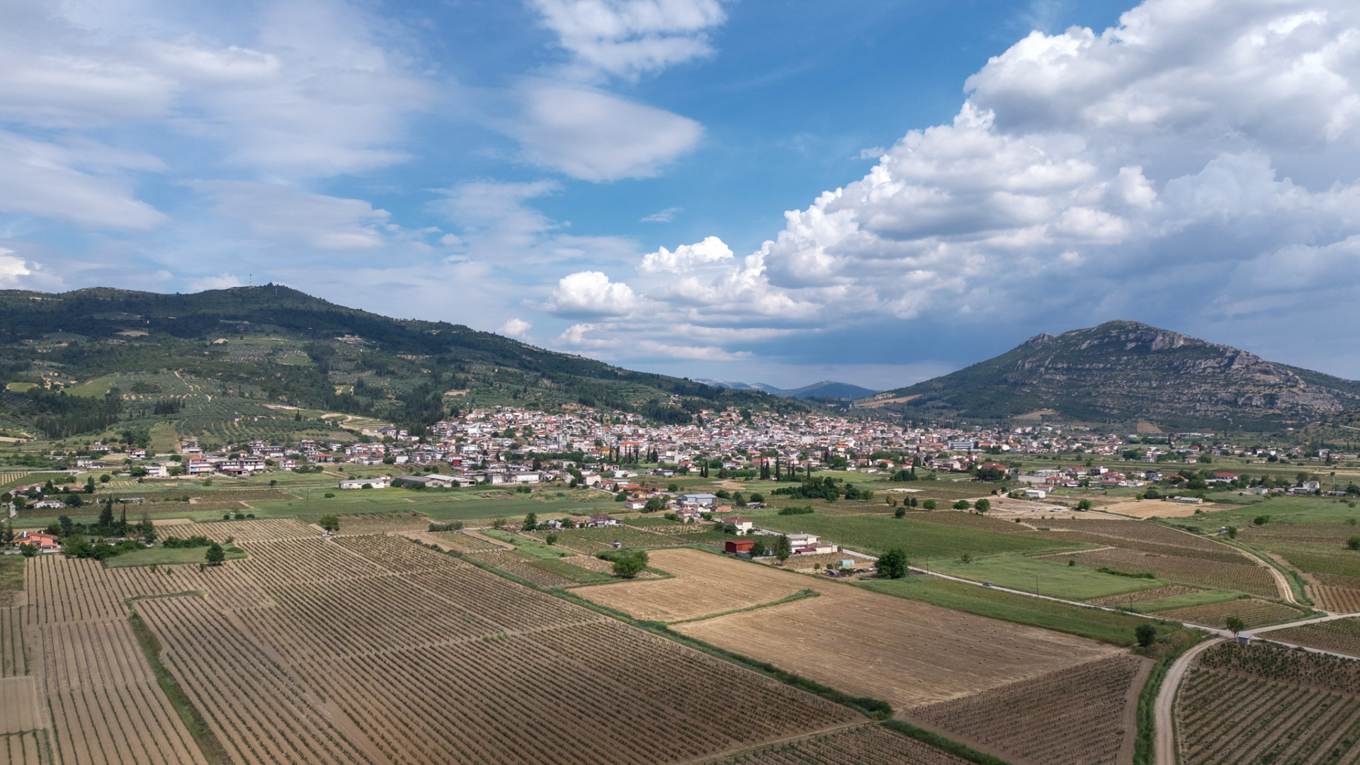 Discover Nemea